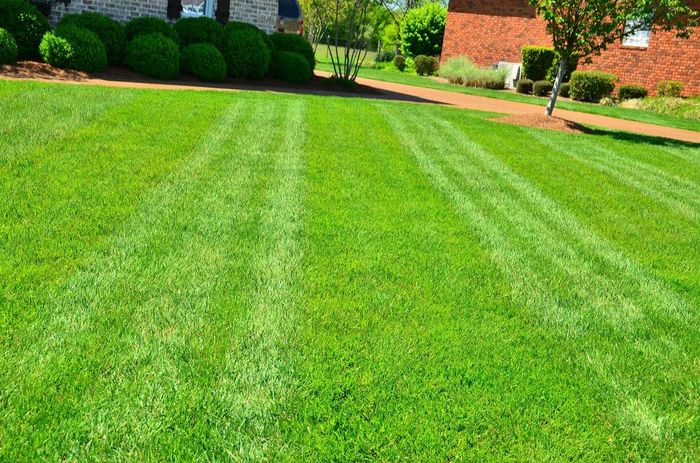 Grünanlagenpflege (Rasen mähen, Hecken und Bäume verschneiden) (© Image by Bryan Clayton from Pixabay) Grünanlagenpflege (Rasen mähen, Hecken und Bäume verschneiden)